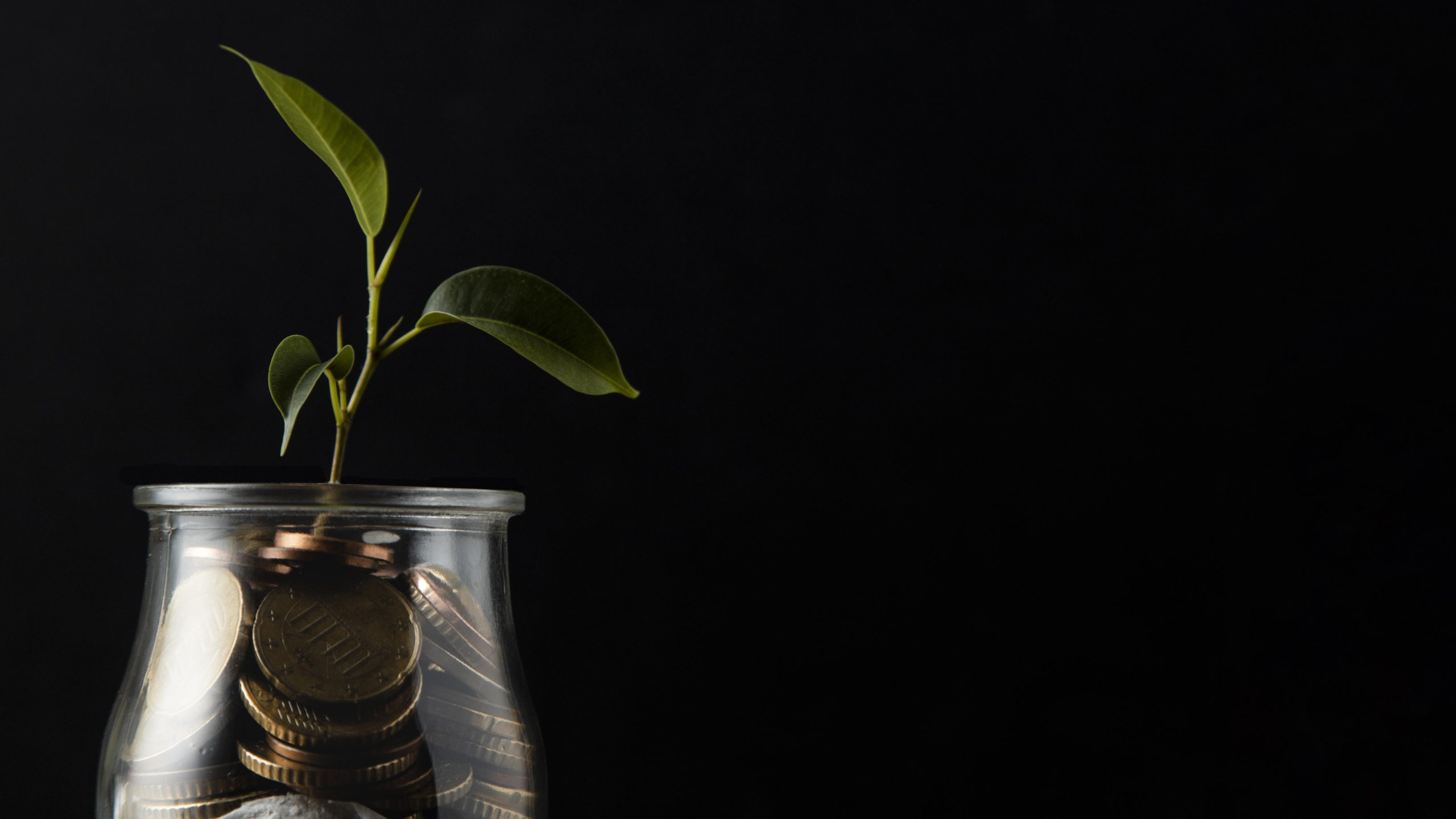 Barry Sternlicht: il visionario dietro Starwood Capital e Starwood Property Trust