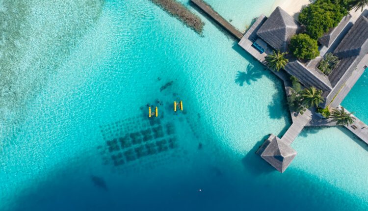 Gli sforzi per la conservazione dei coralli dello Sheraton Maldives Full Moon Resort e di Reefscapers