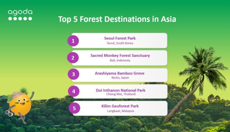 Scoprite i migliori ritiri forestali in Asia per una fuga nella natura