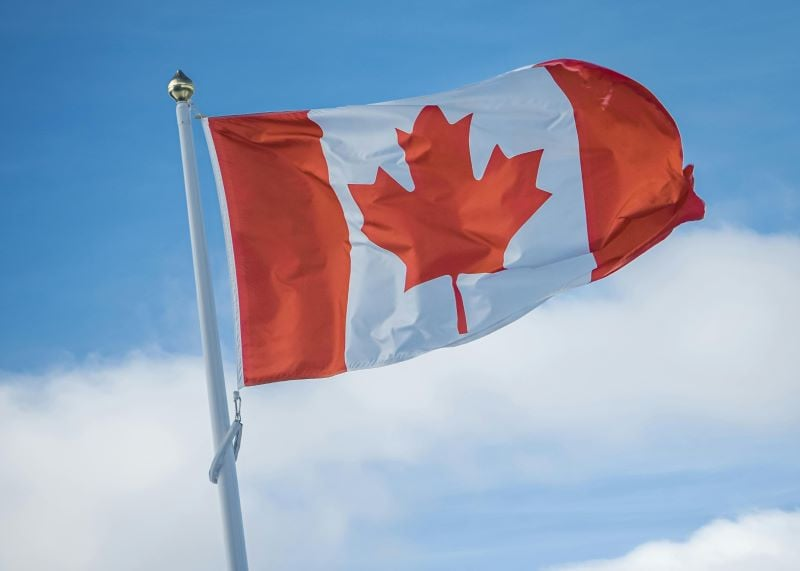 Avvisi di viaggio europei e canadesi in risposta alle modifiche all'immigrazione negli USA