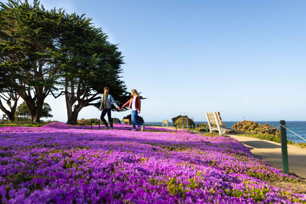 Le avventure di primavera vi aspettano nelle locande di Monterey: Soggiorni straordinari e offerte entusiasmanti
