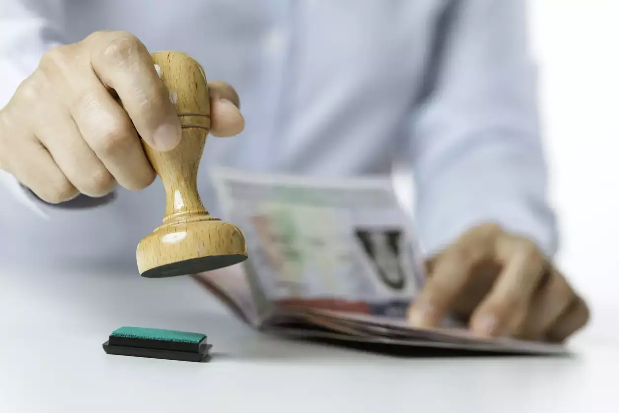 BLS International obtém um crescimento significativo dos pedidos de visto em 2024-25