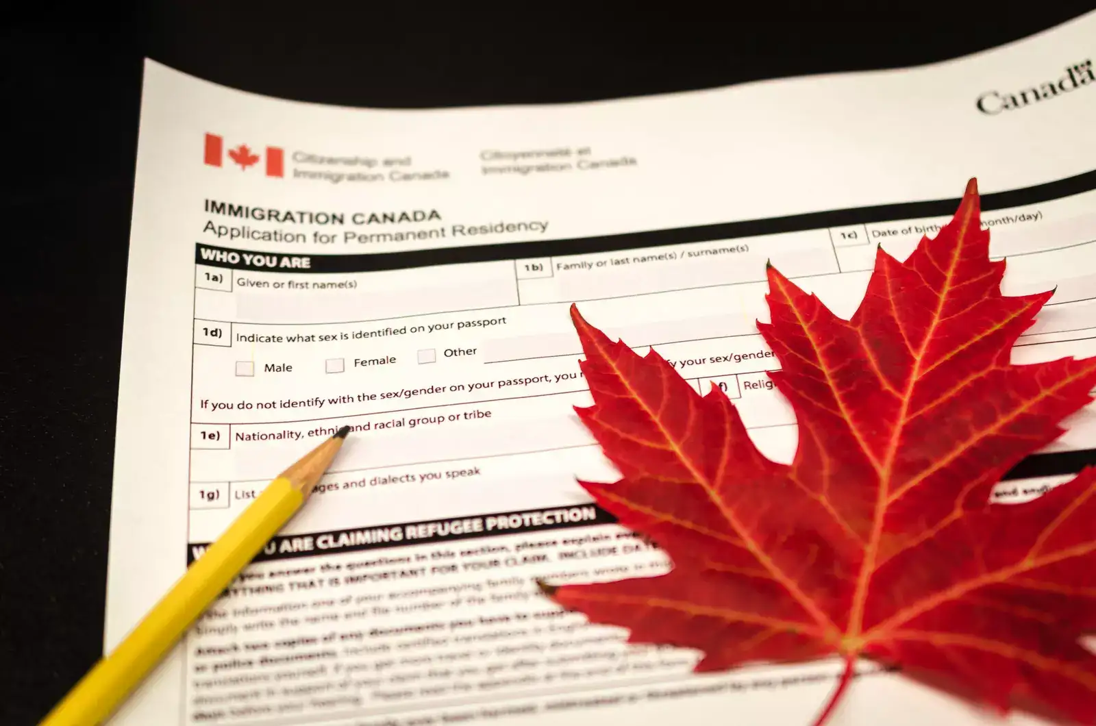 O Canadá revê o processo de concessão de vistos, o que tem um impacto significativo nas autorizações para estudantes indianos